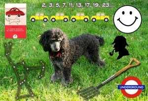 El curioso incidente del perro a medianoche type