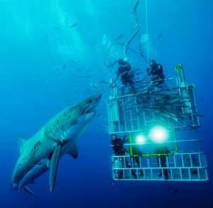 Data Lab Gran Blanco