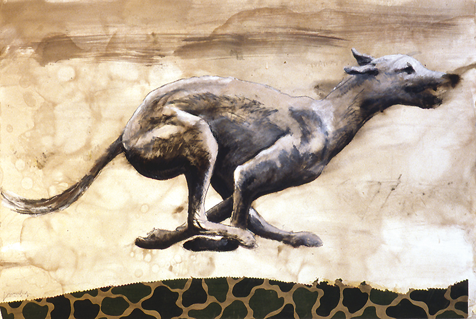 galgo corredor galgo corredor