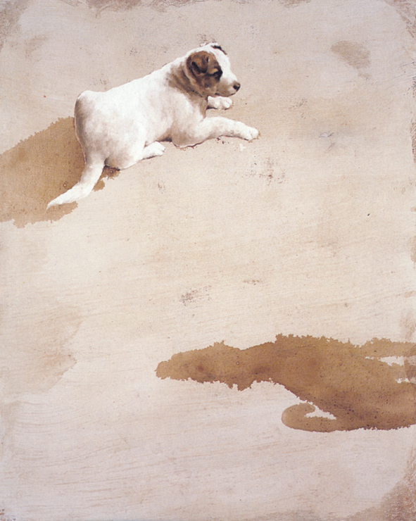 LOS PERROS DEL INVIERNO