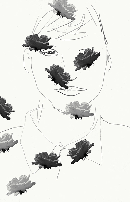 ROSAS SOBRE UN DIBUJO