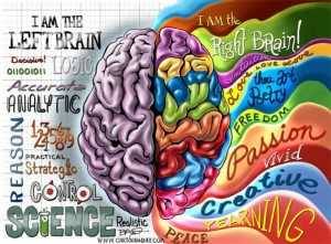 Hemisferios Cerebrales